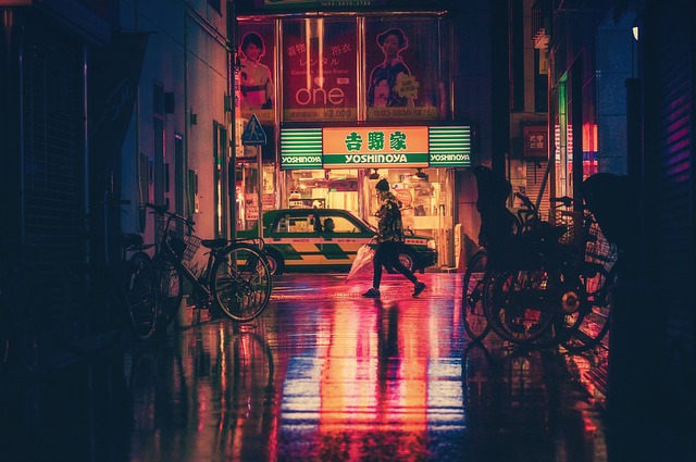 Vacation Costs For Japan