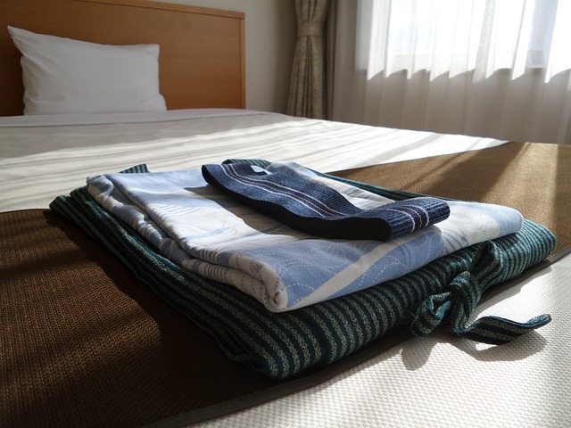 Accommodation and hotels in Japan for different travel budgets