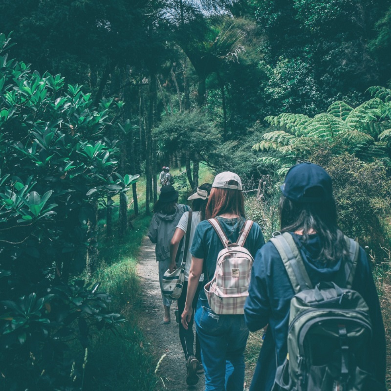 Free walking tours as a budget travel idea