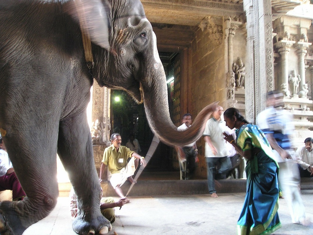 Best places to visit in India travel guide