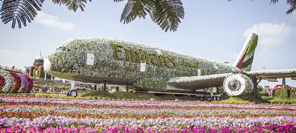 Dubai Miracle Garden