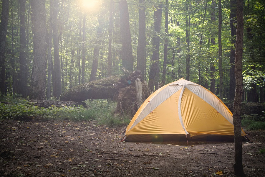 Level ground for pitching a tent at a camping site