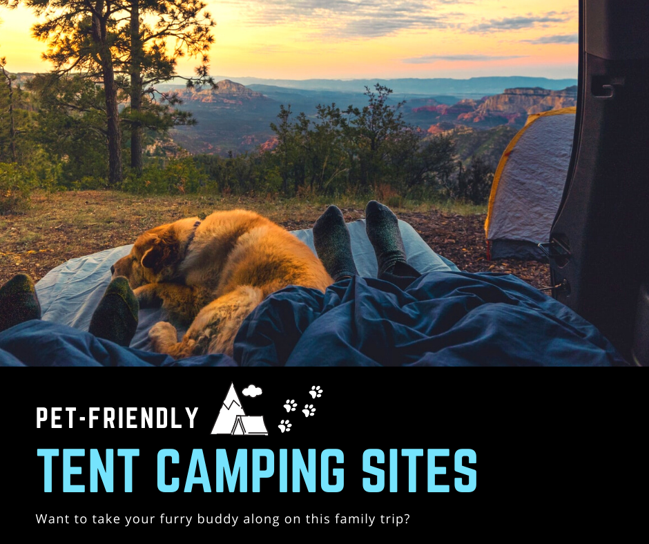 Pet-friendly camping tips for tent camping sites