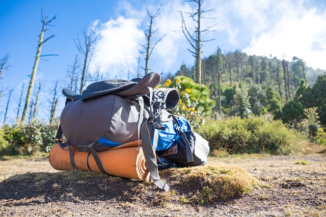 Lightweight backpacking gear laid out for a wilderness backpacking trip