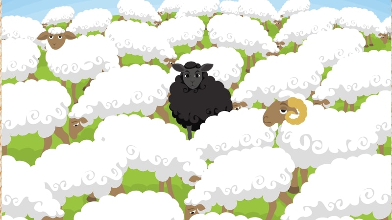 Black Sheep Quotes: Embracing The Beauty Of Being Different
