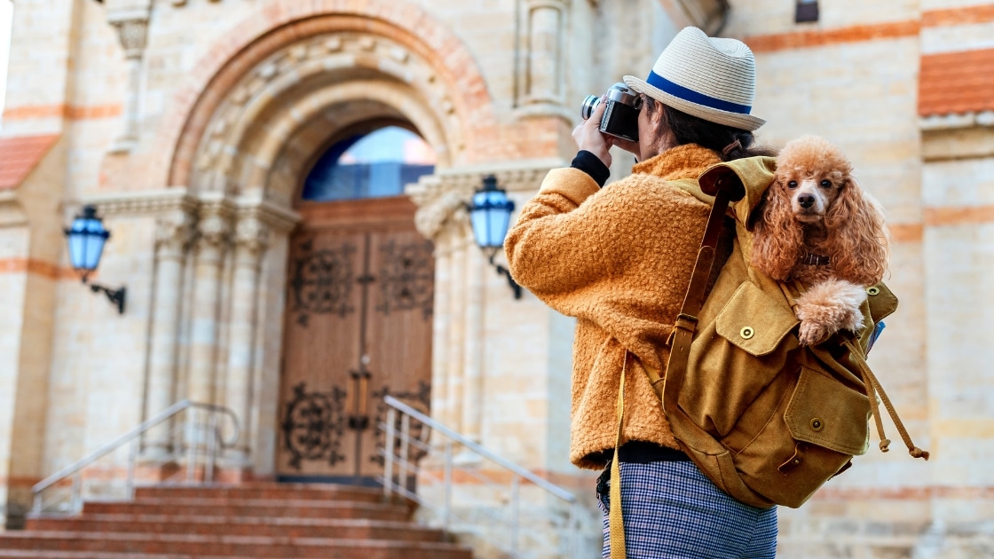 Solo Female Travel With Dog: Tips For a Successful Adventure