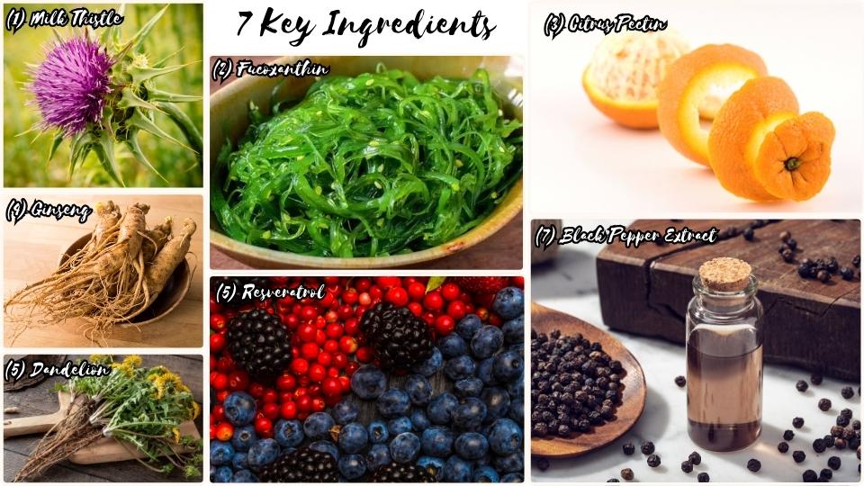 Ikaria Lean Belly Juice ingredients