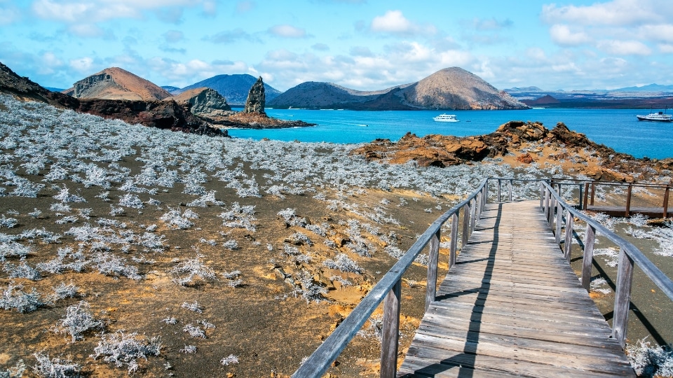 Galapagos Islands wildlife and coast