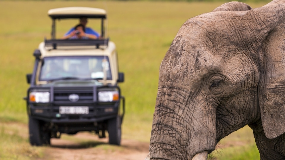 Masai Mara safari landscape in Kenya