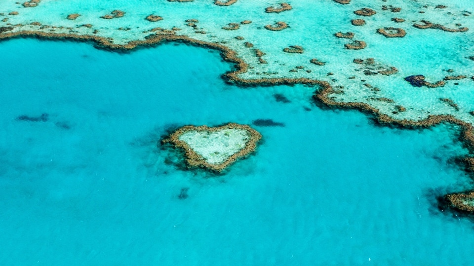 The Great Barrier Reef in Australia