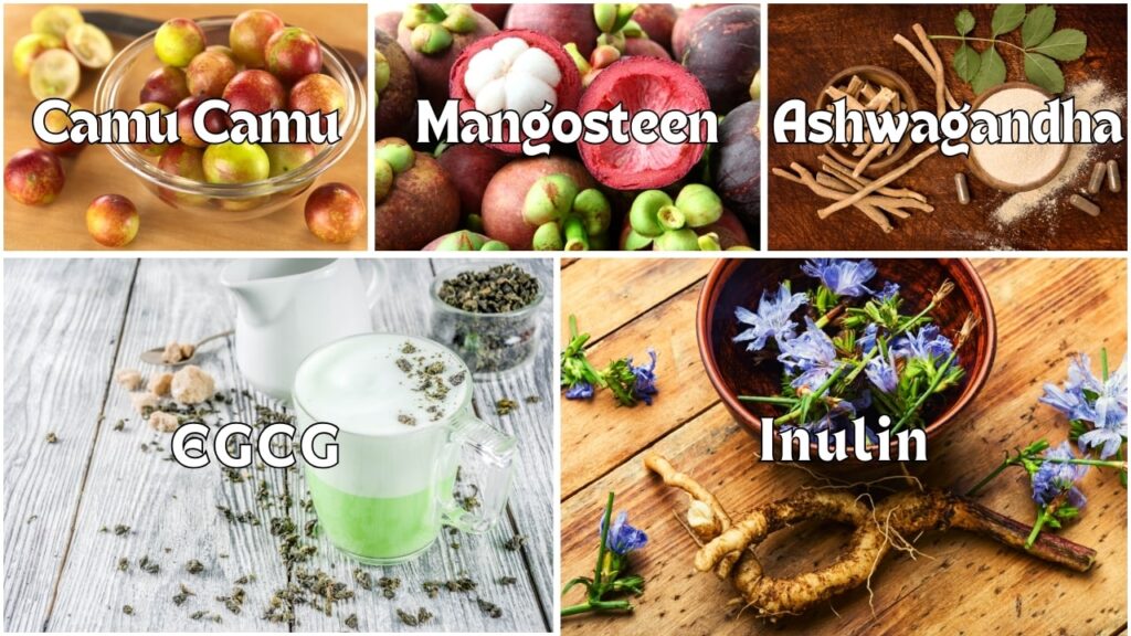 Ingredient highlights for Nagano Tonic