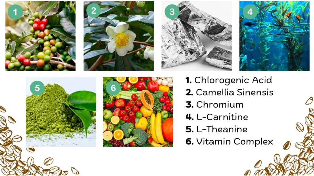 Java Burn key ingredients