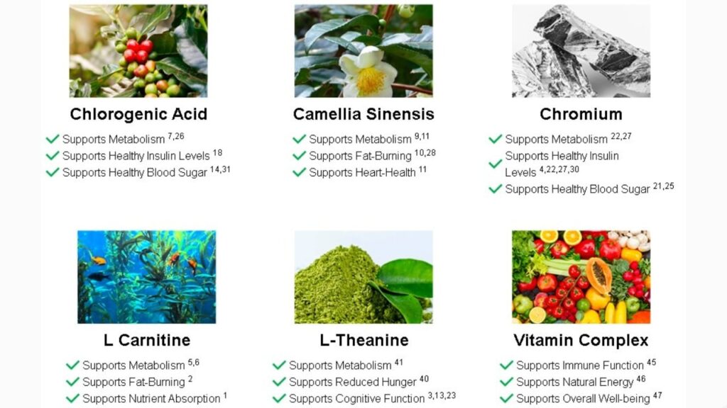 Tea Burn ingredients overview