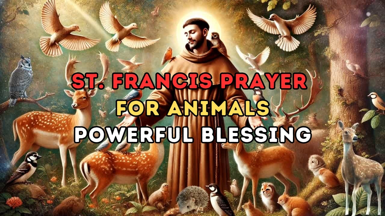 St. Francis Prayer for Animals: Pets and Wildlife Blessing