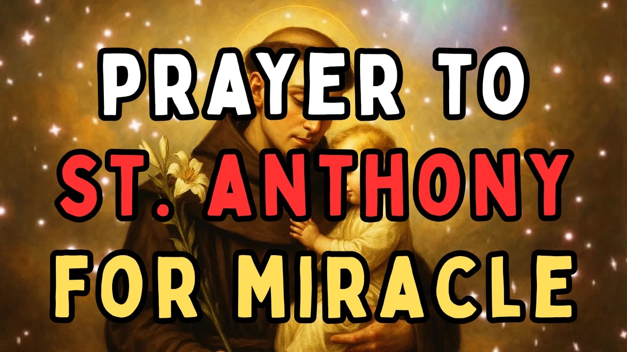 St. Anthony Prayer for a Miracle 🙏 Powerful Prayer of Faith