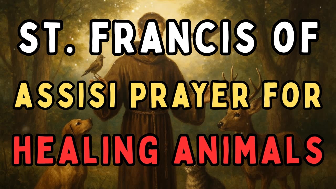 Prayer to St. Francis of Assisi for Healing Animals